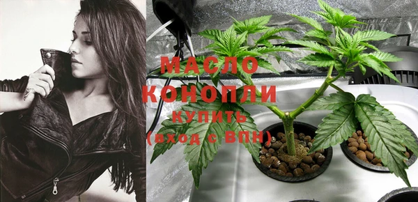 spice Ельня
