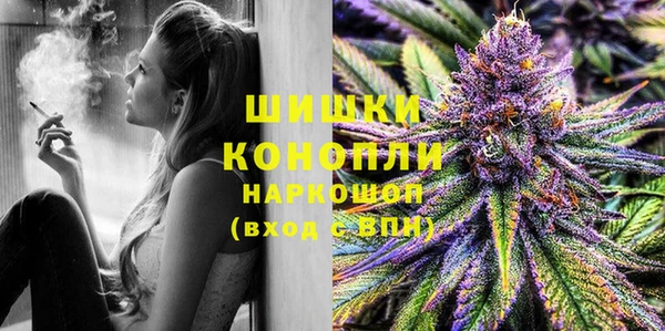 spice Ельня