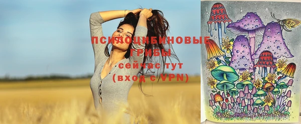 spice Ельня