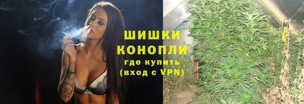 spice Ельня