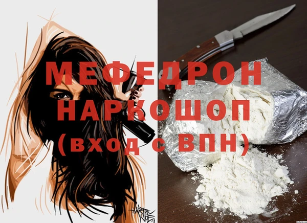 spice Ельня