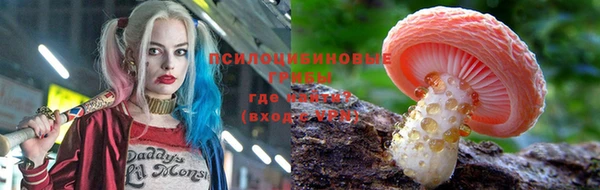 spice Ельня
