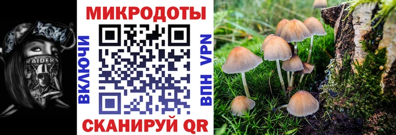Купить где  Янаул  Псилоцибиновые грибы ЛСД 